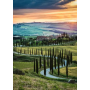 Puzzle Ravensburger Valle dell'Orcia, Toscana da 1000 Pezzi Ravensburger - 2