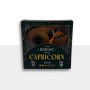 The Zodiac Puzzle - Capricornio Logica Giochi - 2