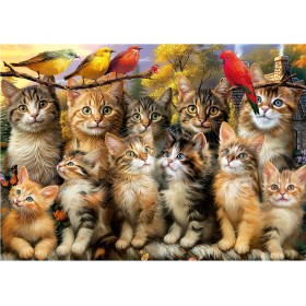 Puzzle Educa Gattini e Uccellini – 500 pezzi Puzzles Educa - 1