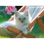 Puzzle Ravensburger Gattino Bianco XXL da 200 Pezzi Ravensburger - 2