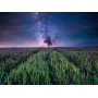 Puzzle Ravensburger Campo Notturno Stellato da 1500 Pezzi Ravensburger - 2