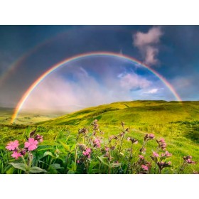 Puzzle Ravensburger Arcoiris Spettacolare da 1500 Pezzi Ravensburger - 1