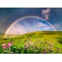 Puzzle Ravensburger Arcoiris Spettacolare da 1500 Pezzi Ravensburger - 1