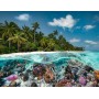 Puzzle Ravensburger L'Immersione alle Maldive da 2000 Pezzi Ravensburger - 1