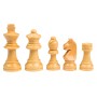 Gioco di Logica Philos The Royal Study Philos - 3