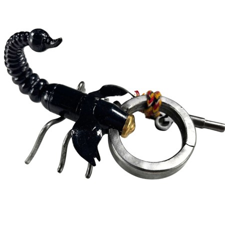 Lucchetto Scorpione Logica Giochi - 1