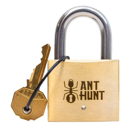 Ant Hunt: Caccia alle Formiche - Lucchetto Rompicapo PuzzLocks PuzzLocks - 1