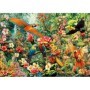 Puzzle Educa Uccelli dell'Amazzonia da 2000 pezzi Puzzles Educa - 1