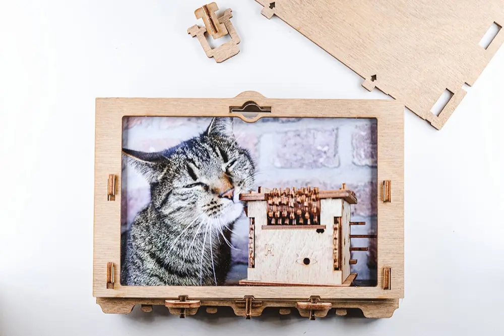 CLUEFRAME – Configurazione – Inserire una foto