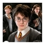 Harry Potter 1000 pezzi